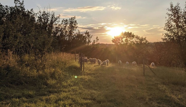 Glamping by Horizon Mohair, Espace Valériana!