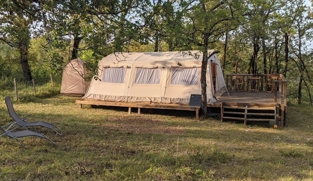 Glamping by Horizon Mohair, Tulipa space!