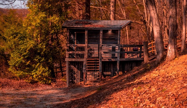 Glamping Cabin | Huge Window | Nature Lovers Dream