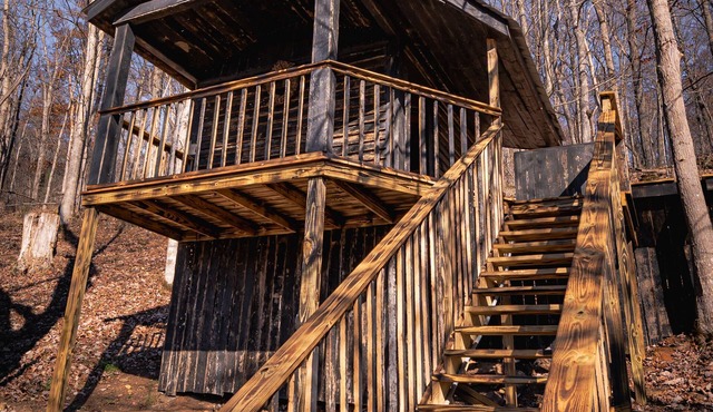 Glamping Cabin | Huge Window | Cliff and Animal Views