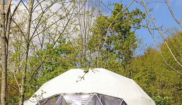 Glamping Dome # 2 in Snowshoe, Wv
