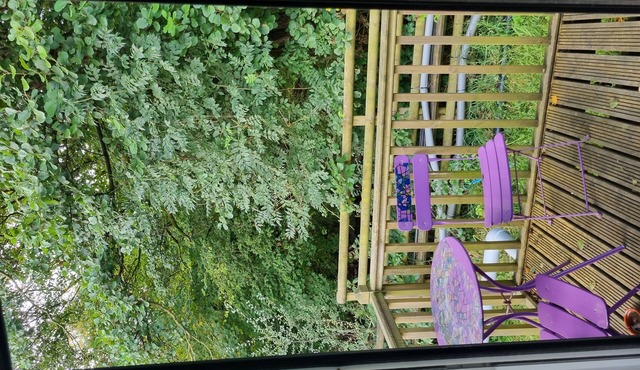 Glamping Hut - Riverview 3