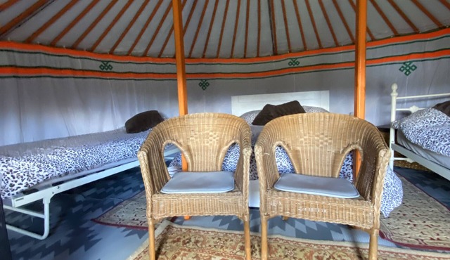 Glamping in a Mongolian yurt or shepherds hut in rural location in South Devon.