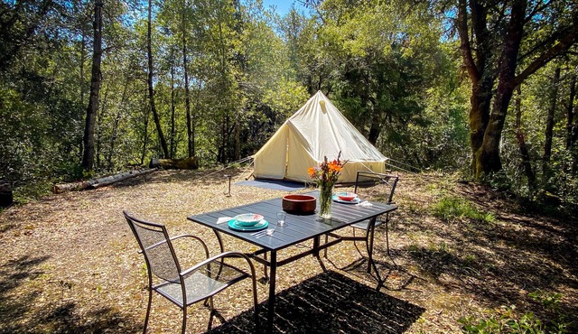 Glamping in the Redwoods, with hot tub! The Knoll