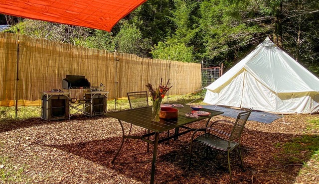 Glamping in the Redwoods, with a hot tub! The Orchard
