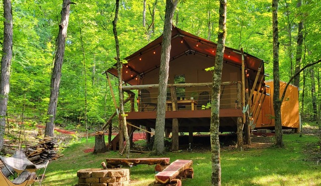 GLAMPING IN THE SMOKIES-PRIVATE 5 acres-LAKE ACCESS.See you in April 2026.