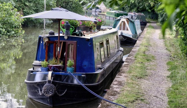 glamping, lodges and camping pitches