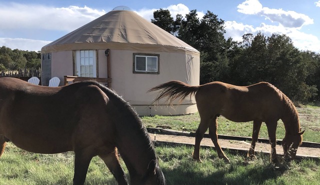 Glamping! Luxury Yurt enjoy the night sky & walking trail