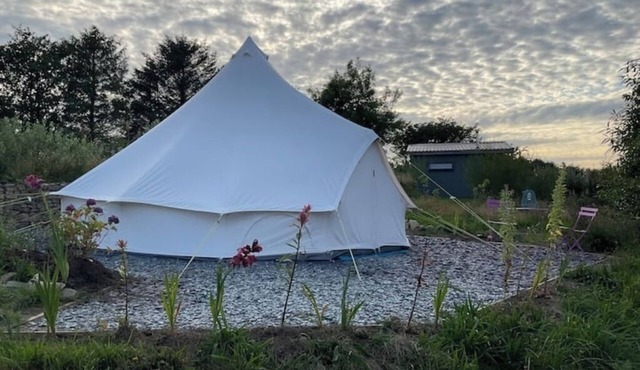 Glamping Meadow Bell Tentn