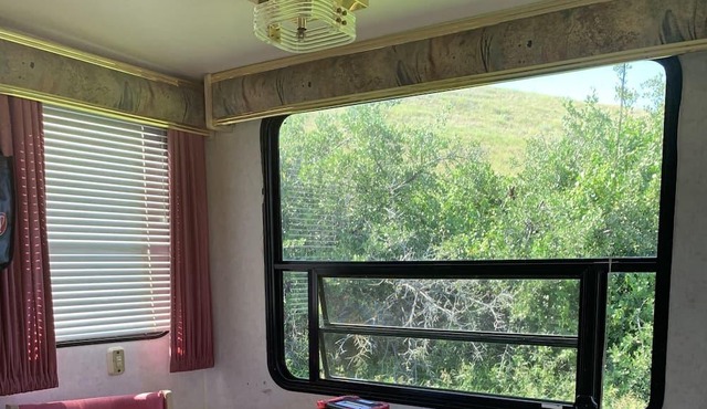 Glamping on the creek, minutes from city amenities