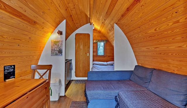 Glamping Pod in Bury St Edmunds Woodland