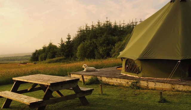 Glamping Pod - Sleeps 2 - Pets - Parking - Wifi