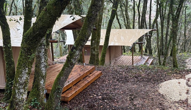 Glamping “Safari Tent” with Shared Pool