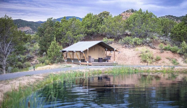 Glamping Safari Tent One