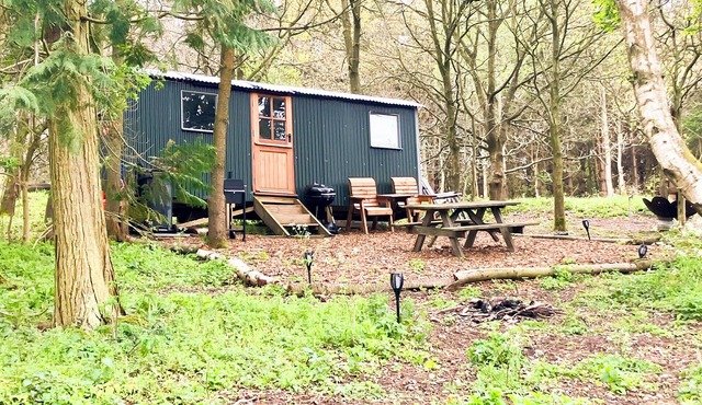 Glamping Shepherds Hut in Holt Hollow, Rural North Norfolk, Dog Friendly