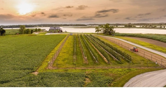Glamping Site On The Waterfront