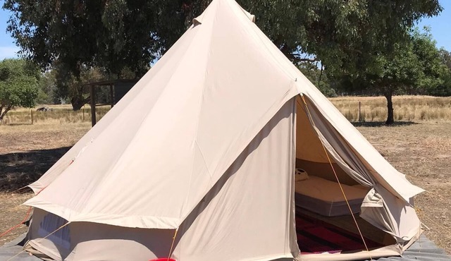 Glamping Tent in a farm with lots of pets