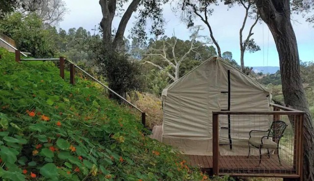 Glamping Wetlands Overlook