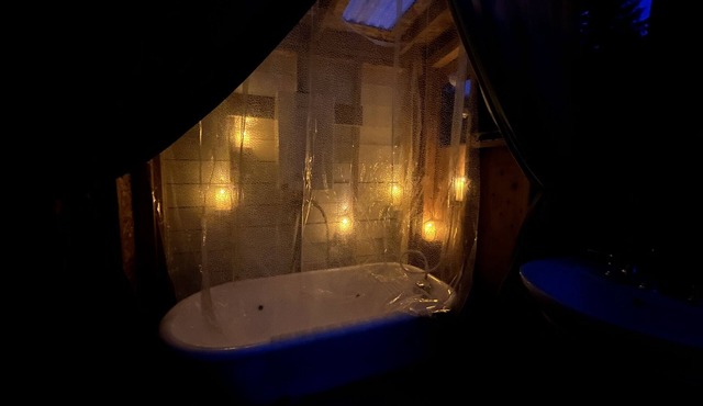 Glamping With Alpacas in an Eco-Friendly Dome Outside of Seattle