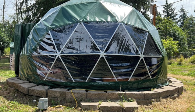 Glamping With Alpacas in an Eco-Friendly Dome Outside of Seattle