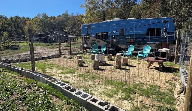 Glamping with your fur babies by Red River Gorge and Natural Bridge.