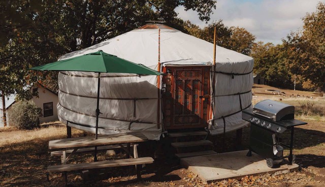 Glamping yurt at a nature retreat Sequoia Highland