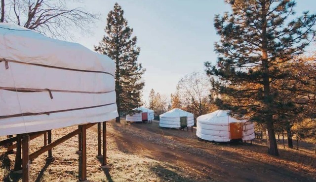 Glamping yurt at nature retreat in Sequoia NForest
