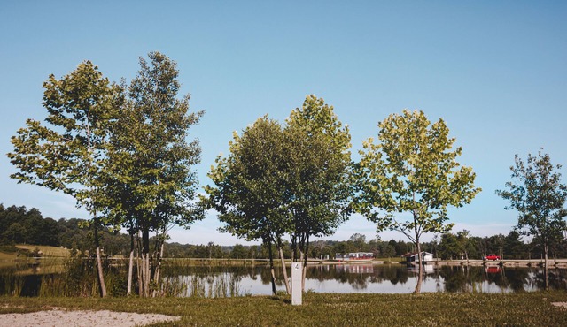 Glamplyfe in Cambridge: RV Site #5