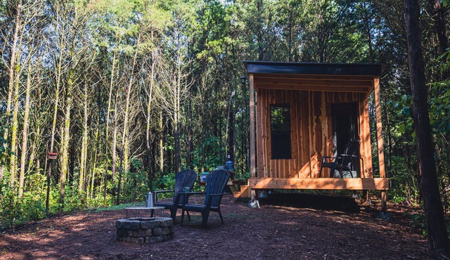 GlampVentures "Cedar Suncatcher" @river/lake near Smoky Mtns