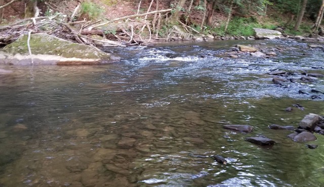 Glarus - Riverside 36' RV, trout stream firepit