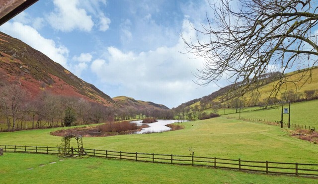 Glas y Dorlan - King Fisher