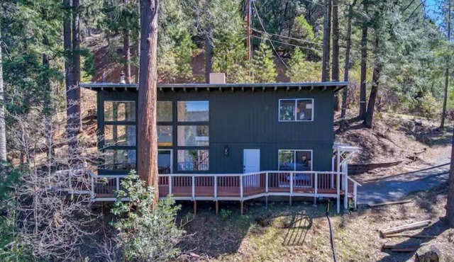 Glass Cabin Under the Pines Hot Tub Seclusion