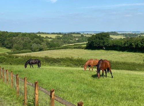 Glebe Barn, Little Glebe Farm