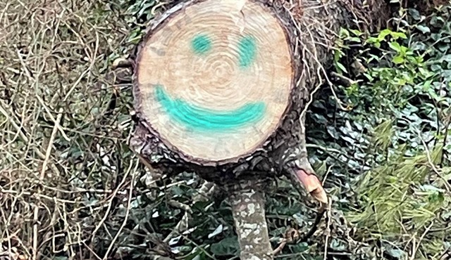 Glebe Creek waterfront home with dock, kayaks, SUP, & lifejackets