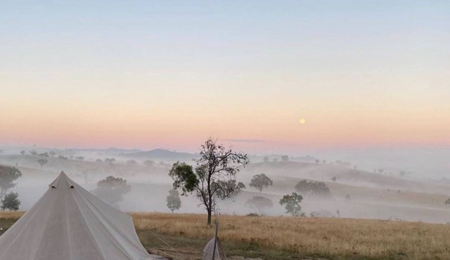 Glenayr Farm - Pinot