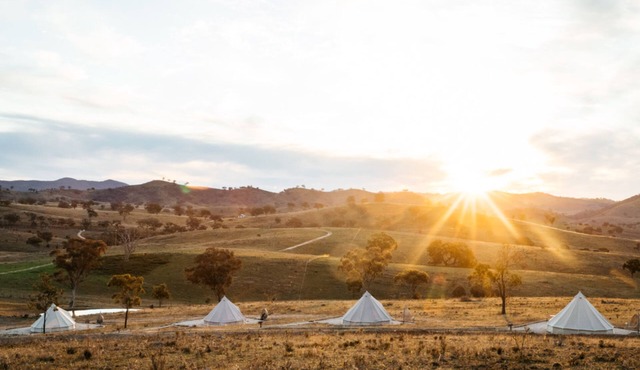 Glenayr Farm - Shiraz
