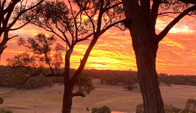 Glorious country views- Pet friendly