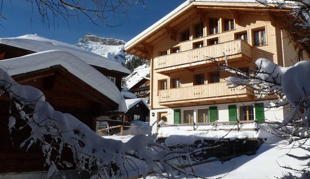 Glorious Luxury Summer holiday home or ski Chalet in Murren - 5 star rating