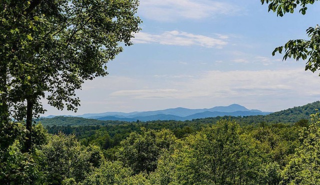 Glorious Mountain Views of Mt Pisgah, Sleeps up to 8, Within 12 minutes of downtown Asheville