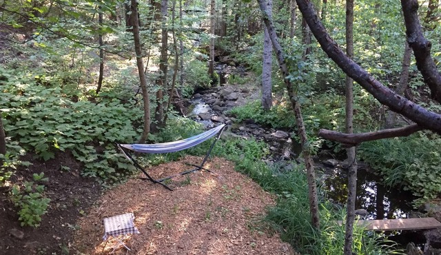 Glorious Summer At Cabin On The Creek