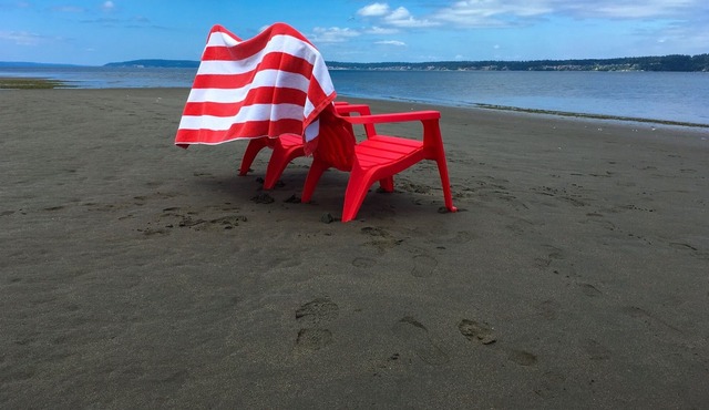 Glorious Sunrises, Eagles & Seals! Waterfront Home right in Downtown Langley!