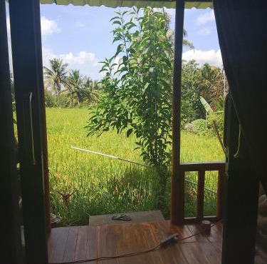 Go Green Bungalows Tetebatu