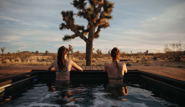 Goat Mountain Rising | Dwell-Featured Modern Oasis w/Heated Pool by Homestead Modern
