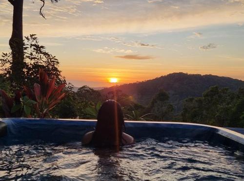 Gold Coast Hinterland Experience No ppl 8