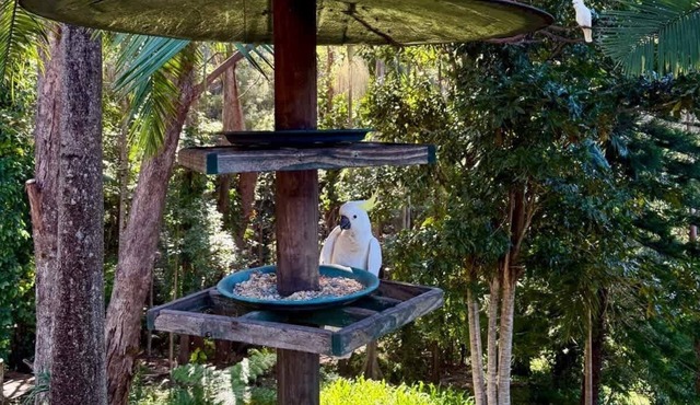 Gold Coast Pet-friendly Nature House