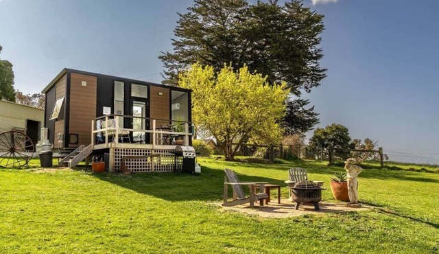 Gold Meadows by Tiny Away