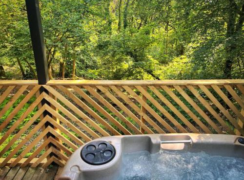 Goldcrest 3-Hot Tub-Woodland Lodges-Carmarthenshire-Tenby