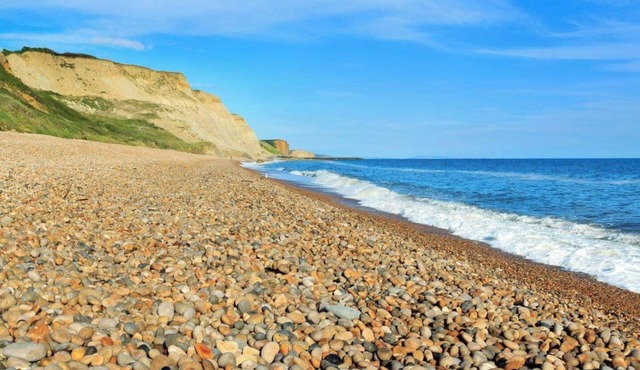 Golden Acre - Ammonite 19