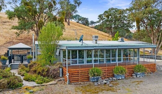 Golden Ash Grove Eco Farm - Yea area