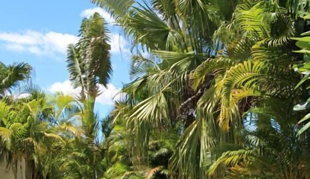 Golden Fountain Motel